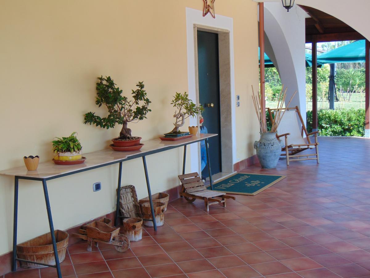 Villa Celeste B&B Pontecagnano Faiano Buitenkant foto